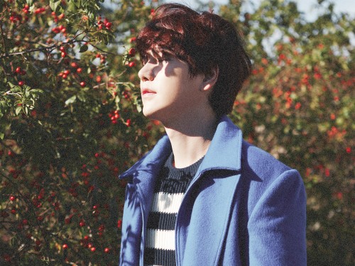kyuhyun1