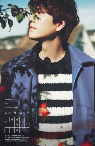 kyuhyun10-540x830