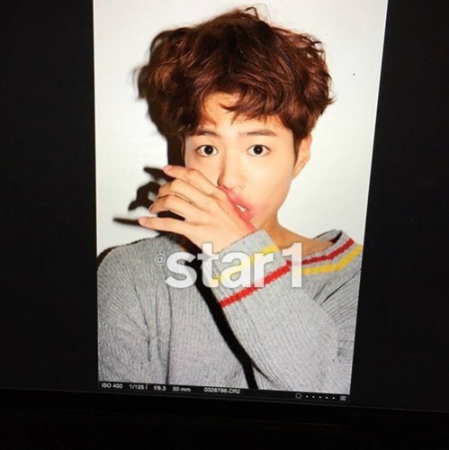 park-bo-gum_1457717470_pbg1