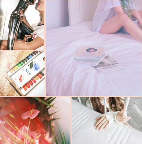 nine-muses-9muses