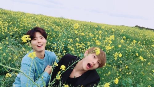 bogum-and-v2