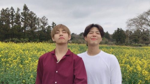 bogum-and-v3