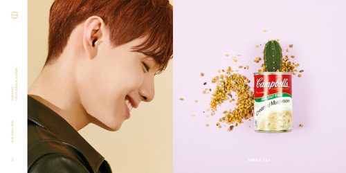 Honeyst-3.jpg