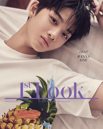 wanna-one_1499300703_w10