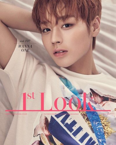 wanna-one_1499300703_w8